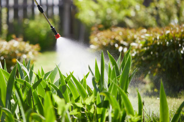 24/7 Emergency Termite Control experts in San Clemente, CA