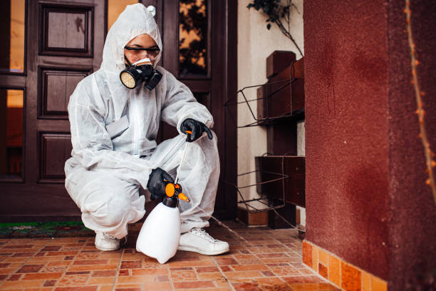 Reliable Termite Control contractor in San Clemente, CA by Nex Pest Control